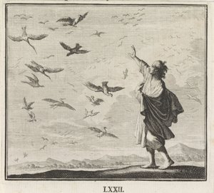 Emblem: fugle af Caspar Luyken