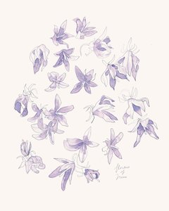 Delikate lilla blomster af Catalina Somolinos