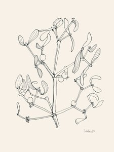 Julemistelten – stregtegning