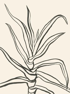 Minimalistisk planteoversigt