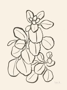 Tegning af et økologisk blad