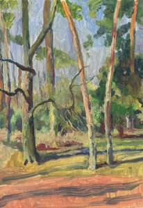 Solbeskinnet skovsti