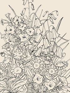 Vilde haveblomster af Catalina Somolinos