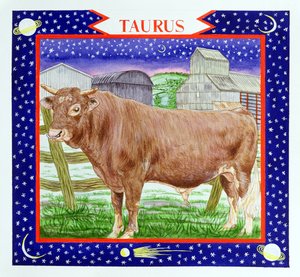 Taurus (wc på papir)