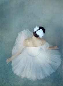 Elegant Ballerina Swan af Catherine Wang