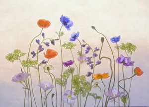 Blomster i den æteriske have
