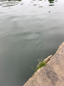 Komposition, 2019 (foto)