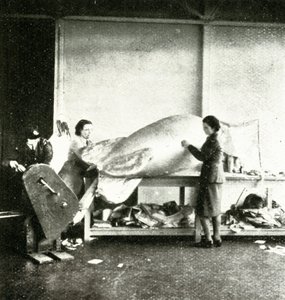 Reparation af spærreildsballoner, c1943. af Cecil Beaton
