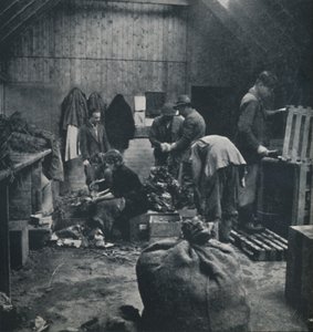 Grøntsager til markedet, 1941 af Cecil Beaton
