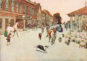 Da solen var ved at gå ned. . . Vi stoppede ved Principal Hotel på markedspladsen af Cecil Charles Windsor Aldin