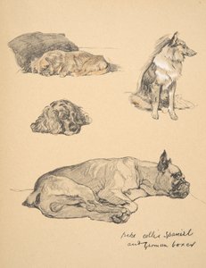 Peke, Collie, Spaniel og tysk bokser, 1930, Illustrationer fra hans skitsebog til 