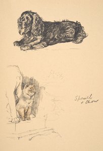 Spaniel and Chow, 1930, Illustrationer fra hans skitsebog brugt til Just Among Friends, Aldin, Cecil Charles Windsor (1870-1935), senere udgivet af Eyre og Spottiswoode Limited, 1934, Chalk and Char af Cecil Charles Windsor Aldin