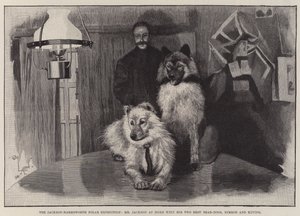 Jackson-Harmsworth polarekspeditionen, hr. Jackson hjemme med sine to bedste bjørnehunde, Nimrod og Raving af Cecil Charles Windsor Aldin
