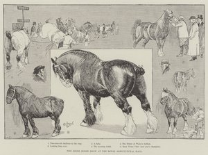 The Shire Horse Show i Royal Agricultural Hall af Cecil Charles Windsor Aldin