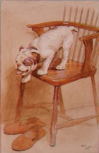 For at lære at beregne højden af objekter fra toppen, hvorfra du kan hoppe af Cecil Charles Windsor Aldin