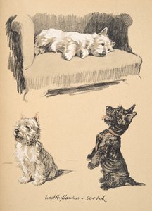 West Highlanders and Scotch, 1930, illustrationer fra hans skitsebog brugt til Just Among Friends, senere udgivet af Eyre og Spottiswoode Limited, 1934 (kridt og trækul på papir)