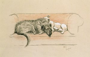 Ulvehund og bullterrier sovende på en sofa (pastel på papir) af Cecil Charles Windsor Aldin