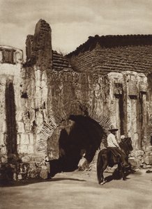 Mexico: Oaxaca, Tuberia espanola (s/h foto)