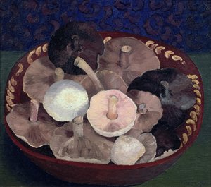 Svampe