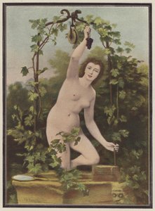 Kvinde plukker druer fra en vinstok (farve litho) af Charles (after) Landelle