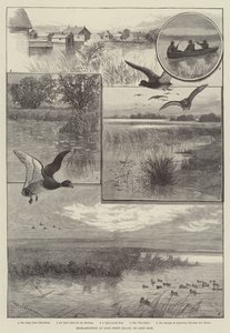 Andeskydning ved Long Point Island, ved Lake Erie (gravering) af Charles (after) Whymper