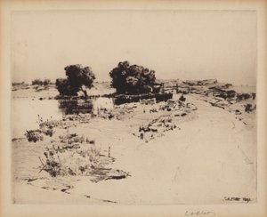 Cape Ann Willows af Charles A. Platt