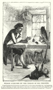 Wilson overvundet af sin fanges rædsel (gravering) af Charles Altamont Doyle
