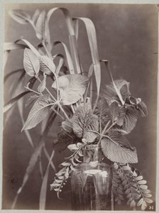 Blomsterstudie med glasflaske