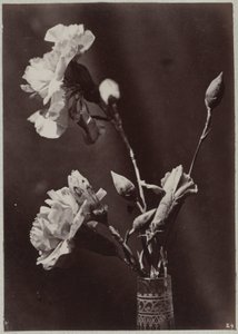 Blomsterstudie med glasvase
