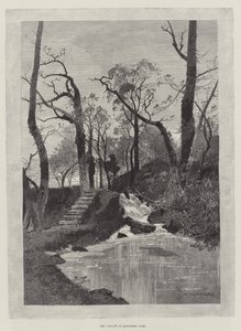 Cascade i Hawarden Park af Charles Auguste Loye