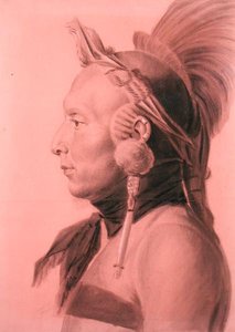 Portræt af en indianer, muligvis Shahaka, Mandan Chief (blyant og kul på farvet papir)