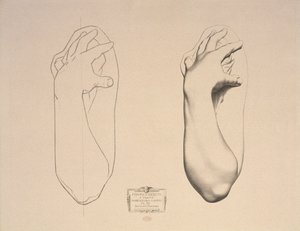 Bent Arm of a Woman, plade 22 fra Cours de Dessin bind I, Modeles dapres la bosse, ca. 1868