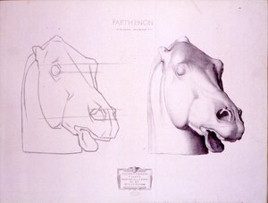 Hestehoved fra Parthenons vestlige pediment, plade 47 fra Cours de Dessin, ca. 1898