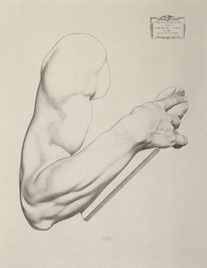 Aftryk på gråt papir, 1868
