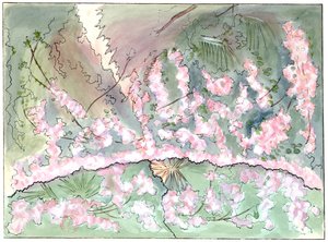 Massenet - Esclarmonde - Scenografi af Charles Bianchini - 2. akt, 1. scene, rosentæppet går ned - tegning af G. Stein, 1889 (c) af Charles Bianchini