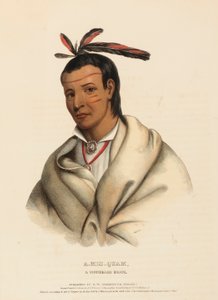 A-MIS-QUAM, A WINNEBAGO BRAVE, fra History of Indian Tribes of North America af Charles Bird King
