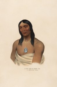 A-na-cam-e-gish-ca af Charles Bird King