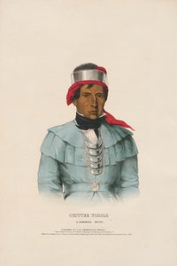 Chittee Yoholo – en Seminole-høvding