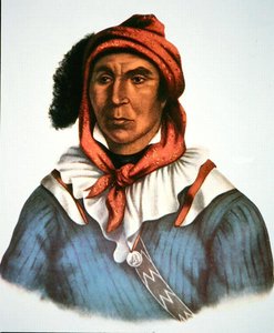 Julcee Mathla af Charles Bird King