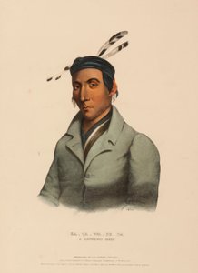 KA-TA-WA-BE-DA. A CHIPPEWAY CHIEF, fra History of the Indian Tribes of North America. af Charles Bird King