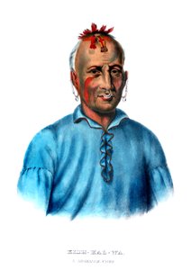 Kishkalwa, en Shawnee-høvding af Charles Bird King