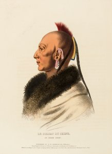LE SOLDAT DU CHENE, AN OSAGE CHIEF, fra History of the Indian Tribes of North America af Charles Bird King