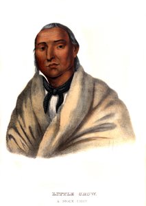 Lille Krage, en Sioux-høvding