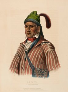 ME-NA-WA. A CREEK WARRIOR, fra Historien om indianerstammerne i Nordamerika af Charles Bird King