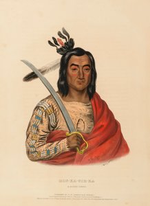 MON-KA-USH-KA. A SIOUX CHIEF, fra History of the Indian Tribes of North America. af Charles Bird King