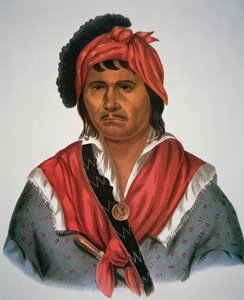 Neamathla chef