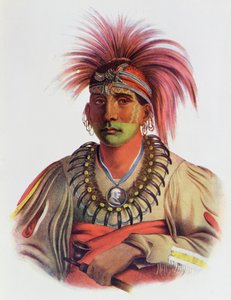Nowaykesugga, en Otto, illustration fra 