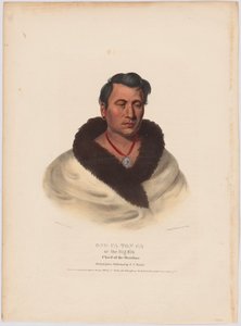 Ong-pa-ton-ga af Charles Bird King