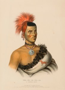PES-KE-LE-CHA-CO, EN PAWNEE-HØFDE, fra Historien om indianerstammerne i Nordamerika af Charles Bird King