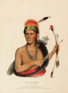 POW-A-SHEEK. EN FOX CHIEF. af Charles Bird King
